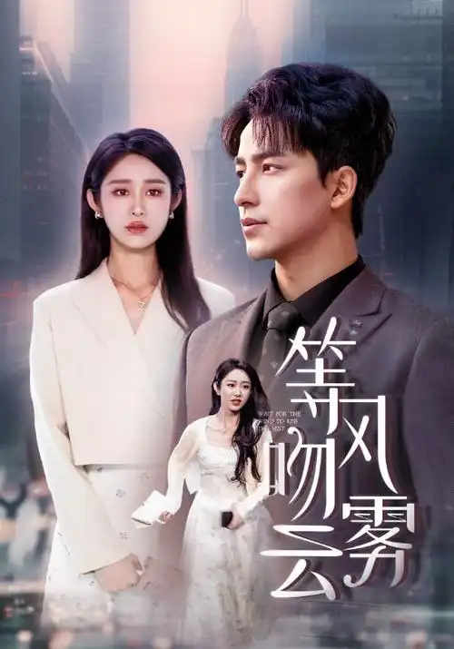 山海关的风年代剧全集免费观看